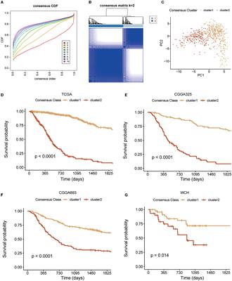 Glutamine metabolism-related genes predict prognosis and reshape tumor microenvironment immune characteristics in diffuse gliomas